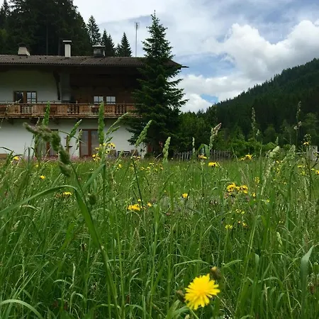 Fuerstalm Alpendorf *