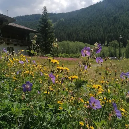 Apartamento Fürstalm Alpendorf *