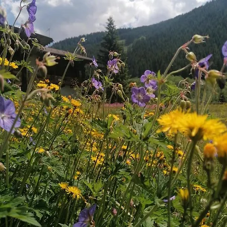 Fürstalm Alpendorf Apartamento Gerlos