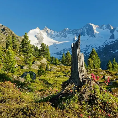 Apartmán Fuerstalm Alpendorf Gerlos