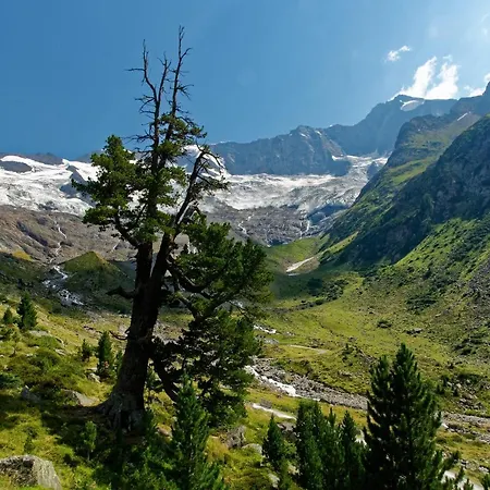 Fürstalm Alpendorf Gerlos