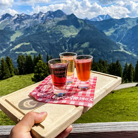 Fürstalm Alpendorf Apartment Gerlos